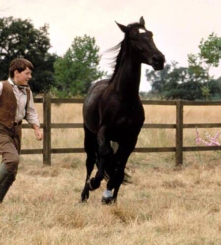 Beleza Negra &ndash; A Sens&iacute;vel Autobiografia de um Cavalo