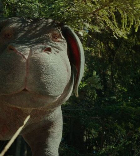 &ldquo;Tudo &eacute; comestivel, exceto o guincho &ndash; a f&aacute;bula sombria de Bong Joon Ho