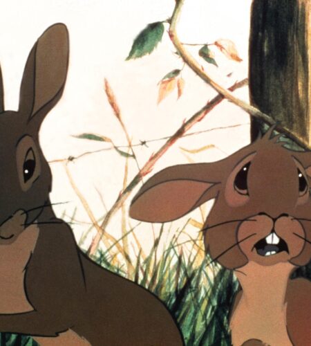 Watership Down &ndash; Quando Coelhos Sangram