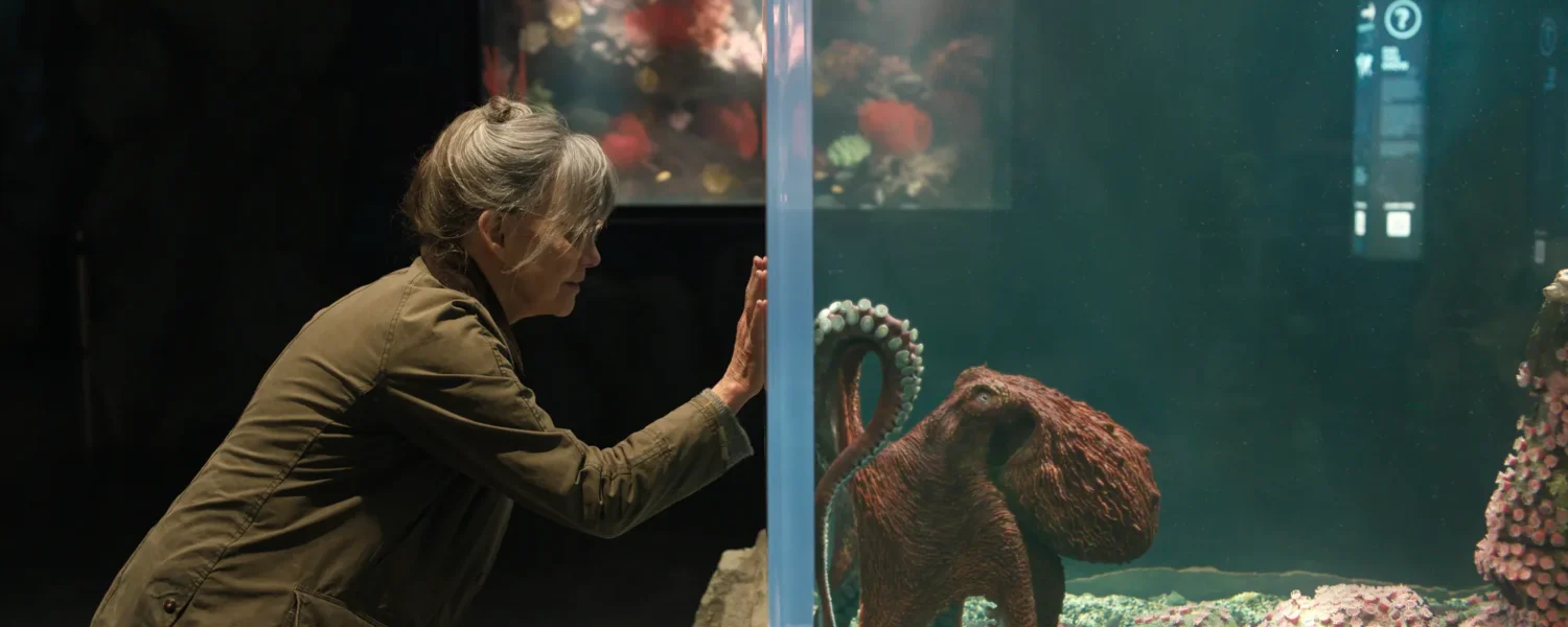 Criaturas Extraordinariamente Brilhantes &ndash; Um filme para aquecer &ndash; at&eacute; tr&ecirc;s- cora&ccedil;&otilde;es