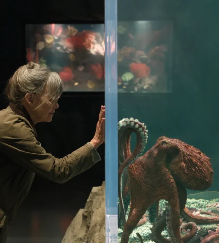 Criaturas Extraordinariamente Brilhantes &ndash; Um filme para aquecer &ndash; at&eacute; tr&ecirc;s- cora&ccedil;&otilde;es